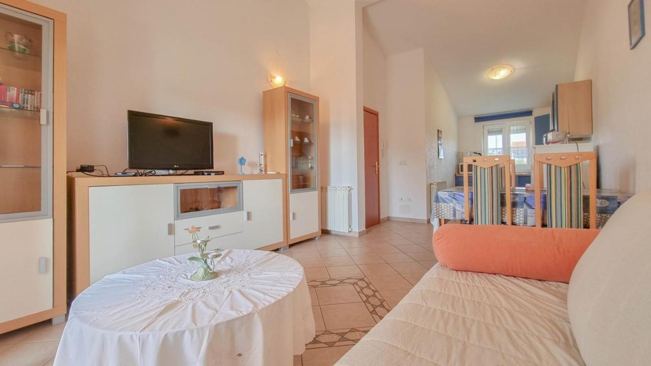Апартаменти Stelia Novigrad  Екстер'єр фото